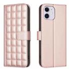 For iPhone 11 Square Texture Leather Phone Case(Rose Gold) - 1