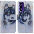 For Samsung Galaxy S24 FE 5G Coloured Drawing Flip Leather Phone Case(White Wolf) - 1