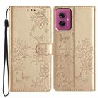 For Motorola Moto G55 Butterflies and Flowers Leather Phone Case(Gold) - 1