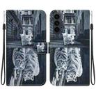 For Samsung Galaxy S25 FE 5G Crystal Texture Colored Drawing Leather Phone Case(Cat Tiger Reflection) - 1