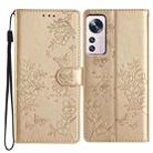 For Xiaomi 12 Lite Butterflies and Flowers Leather Phone Case(Gold) - 1