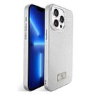 For iPhone 13 Pro Ice Silk Mesh Breathable Cooling Phone Case(Silver) - 1