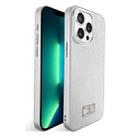 For iPhone 13 Pro Max Ice Silk Mesh Breathable Cooling Phone Case(Silver) - 1