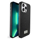 For iPhone 13 Pro Max Ice Silk Mesh Breathable Cooling Phone Case(Black) - 1