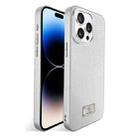 For iPhone 14 Pro Ice Silk Mesh Breathable Cooling Phone Case(Silver) - 1