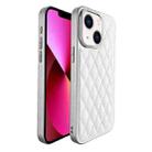 For iPhone 13 Plaid Series 9D Electroplated Phone Case(Titanium Silver) - 1