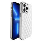 For iPhone 13 Pro Plaid Series 9D Electroplated Phone Case(Titanium Silver) - 1