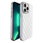 For iPhone 13 Pro Max Plaid Series 9D Electroplated Phone Case(Titanium Silver) - 1