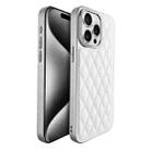 For iPhone 15 Pro Plaid Series 9D Electroplated Phone Case(Titanium Silver) - 1