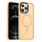 For iPhone 12 Pro MagSafe Magnetic Skin Feel Frosted Phone Case(Orange) - 1