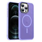 For iPhone 12 Pro Max MagSafe Magnetic Skin Feel Frosted Phone Case(Light Purple) - 1