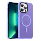 For iPhone 13 Pro Max MagSafe Magnetic Skin Feel Frosted Phone Case(Light Purple) - 1