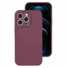 For iPhone 12 Pro Max Precise Hole Liquid Silicone Jelly Color Full Coverage Phone Case(Plum Colored) - 1