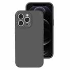 For iPhone 12 Pro Precise Hole Liquid Silicone Jelly Color Full Coverage Phone Case(Carbon Gray) - 1