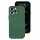 For iPhone 12 Pro Precise Hole Liquid Silicone Jelly Color Full Coverage Phone Case(Moss Green) - 1