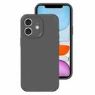 For iPhone 11 Precise Hole Liquid Silicone Jelly Color Full Coverage Phone Case(Carbon Gray) - 1