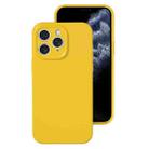 For iPhone 11 Pro Precise Hole Liquid Silicone Jelly Color Full Coverage Phone Case(Sunflower Color) - 1