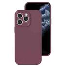 For iPhone 11 Pro Precise Hole Liquid Silicone Jelly Color Full Coverage Phone Case(Plum Colored) - 1