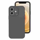 For iPhone 12 Precise Hole Liquid Silicone Jelly Color Full Coverage Phone Case(Carbon Gray) - 1