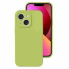 For iPhone 13 Precise Hole Liquid Silicone Jelly Color Full Coverage Phone Case(Willow Green) - 1