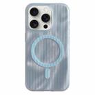 For iPhone 15 Pro Max Striped Skin Feel Magnetic Magsafe Phone Case(Blue) - 1