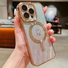 For iPhone 13 Pro Max Loves Leaves Gradient Glitter Carbon Fiber Magsafe TPU Phone Case(Gold) - 1