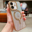 For iPhone 11 Loves Leaves Gradient Glitter Carbon Fiber Magsafe TPU Phone Case(Gold) - 1