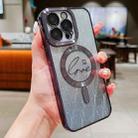 For iPhone 11 Pro Dual-Love Leaves Gradient Glitter Magsafe TPU Phone Case(Black) - 1