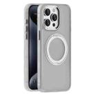 For iPhone 15 Pro Skin Feel Frosted MagSafe Magnetic Holder Phone Case(Light Grey) - 1