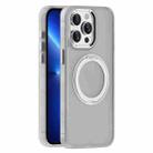 For iPhone 13 Pro Skin Feel Frosted MagSafe Magnetic Holder Phone Case(Light Grey) - 1