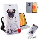 For iPhone 12 mini Coloured Drawing Horizontal Flip Leather Case, with Holder & Card Slots & Wallet(Pug) - 1