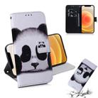 For iPhone 12 mini Coloured Drawing Horizontal Flip Leather Case, with Holder & Card Slots & Wallet(Panda) - 1