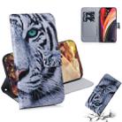 For iPhone 12 Pro Max Coloured Drawing Horizontal Flip Leather Case, with Holder & Card Slots & Wallet(Tiger) - 1