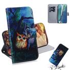 For Samsung Galaxy Note 20 Coloured Drawing Horizontal Flip Leather Case, with Holder & Card Slots & Wallet(Oil Painting Owl) - 1