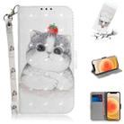 For iPhone 12 mini 3D Colored Drawing Horizontal Flip Leather Case with Holder & Card Slots & Wallet & Lanyard(Cute Cat) - 1