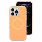 For iPhone 12 Pro Jelly Liquid Silicone MagSafe Magnetic Phone Case(Orange) - 1