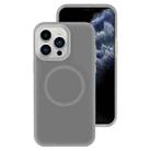 For iPhone 11 Pro Jelly Liquid Silicone MagSafe Magnetic Phone Case(Grey) - 1