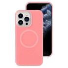 For iPhone 11 Pro Jelly Liquid Silicone MagSafe Magnetic Phone Case(Berry Powder) - 1