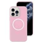 For iPhone 11 Pro Jelly Liquid Silicone MagSafe Magnetic Phone Case(Sand Pink) - 1