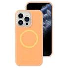 For iPhone 11 Pro Max Jelly Liquid Silicone MagSafe Magnetic Phone Case(Orange) - 1