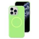 For iPhone 11 Pro Max Jelly Liquid Silicone MagSafe Magnetic Phone Case(Green) - 1