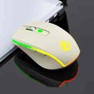 iMICE G903 2.4G Single Mode 6-key Silent Wireless Gaming Mouse(Beige) - 2