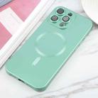 For iPhone 16 Pro Max Liquid TPU Silicone Solid Color MagSafe Phone Case(Green) - 2