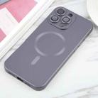 For iPhone 16 Pro Liquid TPU Silicone Solid Color MagSafe Phone Case(Grey) - 2