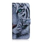 For Samsung Galaxy M35 Coloured Drawing Flip Leather Phone Case(Tiger) - 2