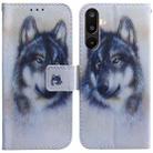For Samsung Galaxy M16 5G / F16 5G / M36 5G Coloured Drawing Flip Leather Phone Case(White Wolf) - 1