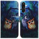 For Samsung Galaxy M16 5G / F16 5G / M36 5G Coloured Drawing Flip Leather Phone Case(Oil Painting Owl) - 1