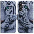 For Samsung Galaxy M16 5G / F16 5G / M36 5G Coloured Drawing Flip Leather Phone Case(Tiger) - 1