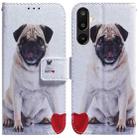 For Samsung Galaxy M16 5G / F16 5G / M36 5G Coloured Drawing Flip Leather Phone Case(Pug) - 1