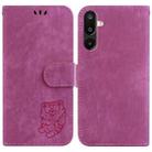 For Samsung Galaxy M16 5G / F16 5G / M36 5G Little Tiger Embossed Leather Phone Case(Rose Red) - 1